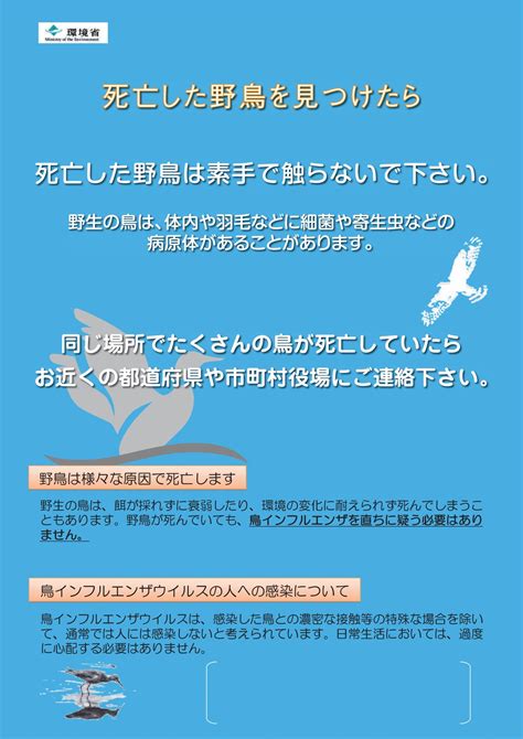 鳥 死亡|高病原性鳥インフルエンザに関する情報 